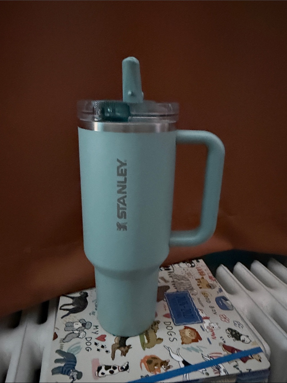 Stanley 40oz Insulated Travel Mug with flip top straw